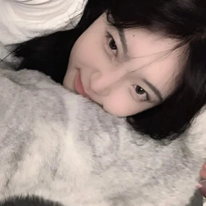 第一夫人的保镖海报