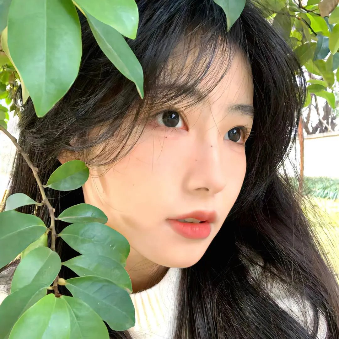 爱奴海报